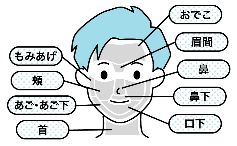 ヒゲ脱毛パーツ もみあげ・頬・あご・あご下・首・おでこ・眉間・鼻・鼻下・口下